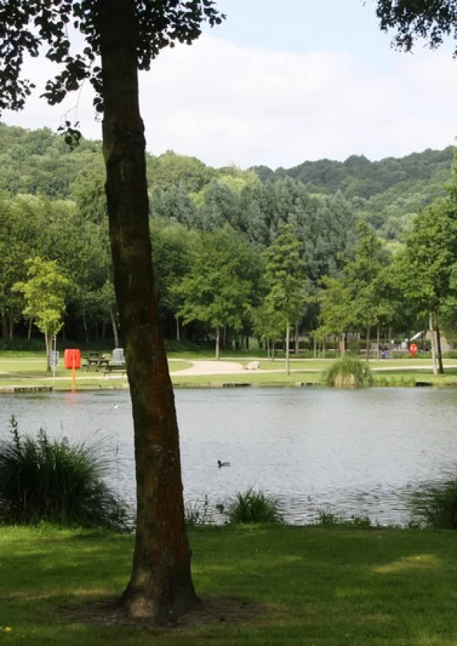 Parc Des Aulnes Lillebonne Caux Seine Normandie Tourisme Lillebonne