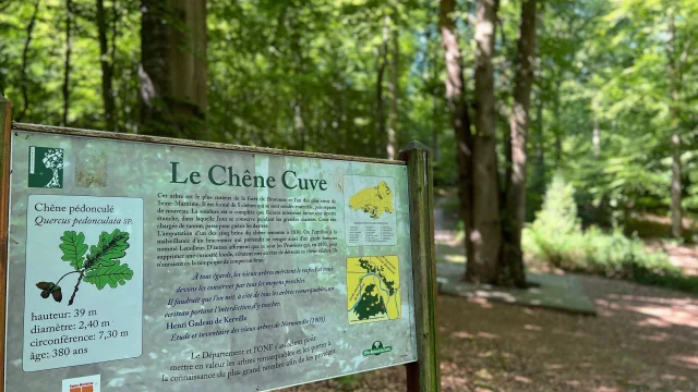 Arelaune En Seine 2022 Chene Cuve Parc Naturel Regional Boucles De La Seine Csnt