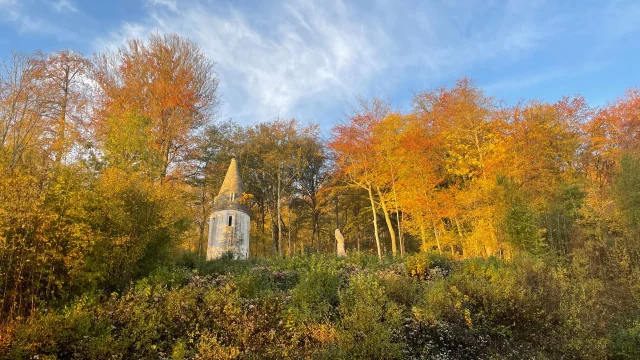 Gruchet Le Valasse 2021 Parc Abbaye Du Valasse Herbst Rund Um Das Türmchen Csnt