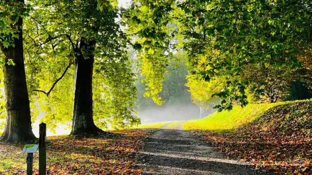 Gruchet Le Valasse 2023 Abbaye Du Valasse Spaziergang im Park Csnt