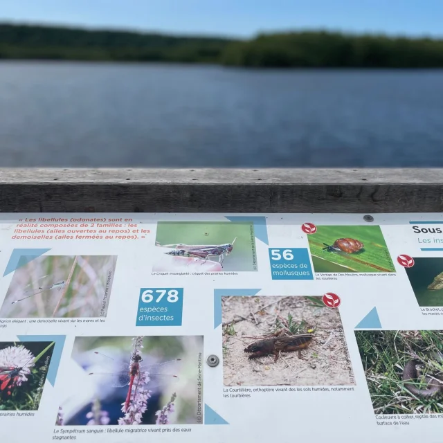 Heurteauville 2023 Panneau Informatie Tourbiere Natuur Ornitologie Ens Csnt