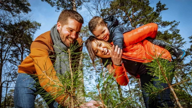 Rives En Seine April 2018 Week End 76 Familievakantie Natuur Seine Familieportret Bos Drone Press