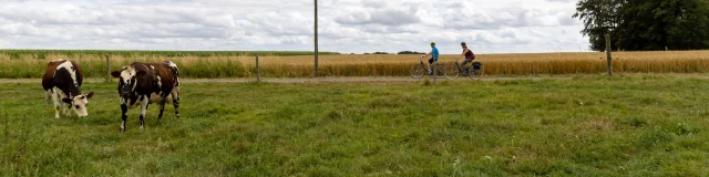 Terres De Caux July 2022 Itineraire Velo En Caux Seine Paysage Normand 76 Boucle De Randonnee Eric Sanson