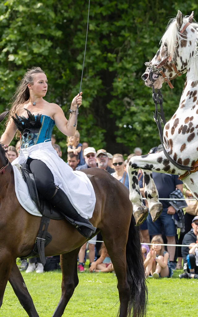 Abtei Du Valasse 2023 Fete Du Cheval Eric Sanson