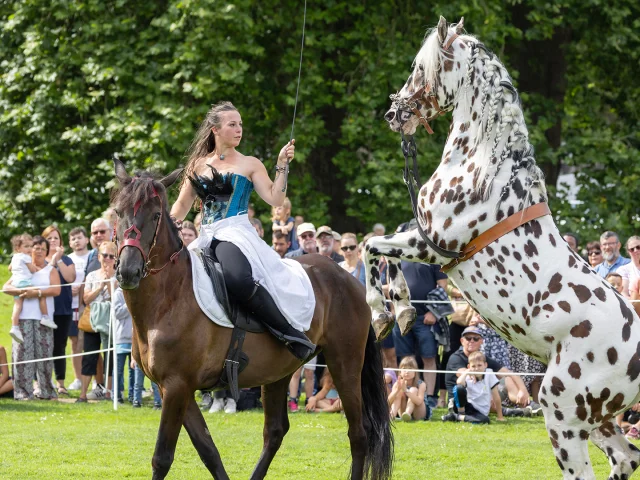 Abbaye Du Valasse 2023 Fete Du Cheval Eric Sanson