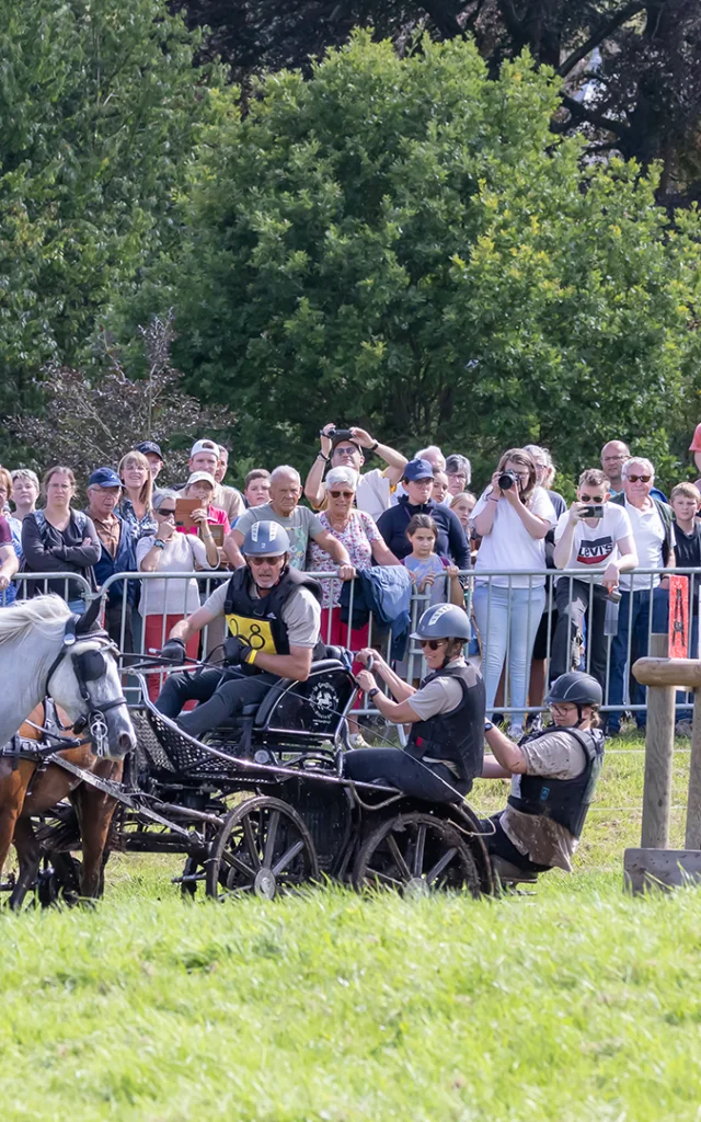 Gruchet Le Valasse 2023 Fete Du Cheval Public Eric Sanson