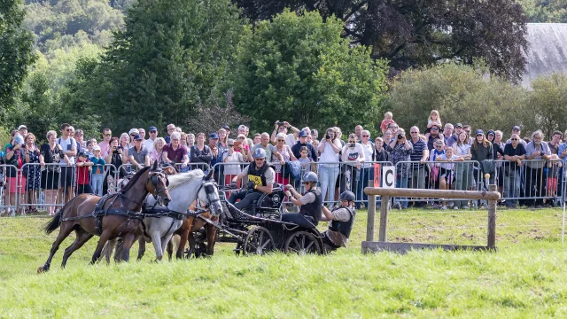 Gruchet Le Valasse 2023 Fete Du Cheval Public Eric Sanson