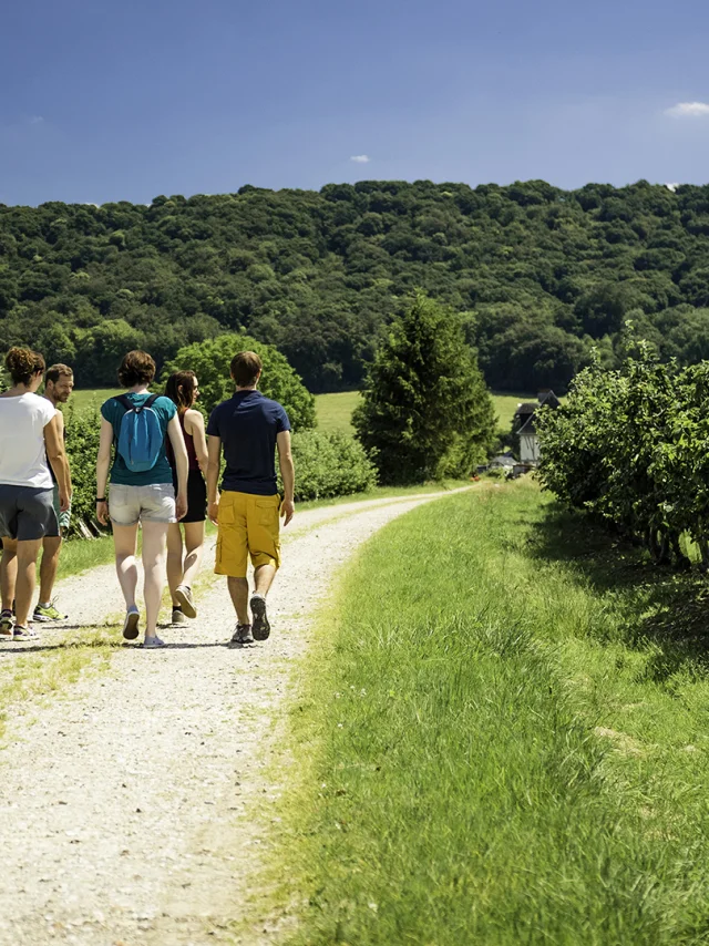 Vallee De Seine 2016 Promeneurs Seine Maritime Tourism V.rustuel