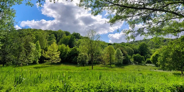 Lillebonne Mai 2024 Parc Des Aulnes Patrimoine Naturel Caux Seine Maritime Nature Csnt