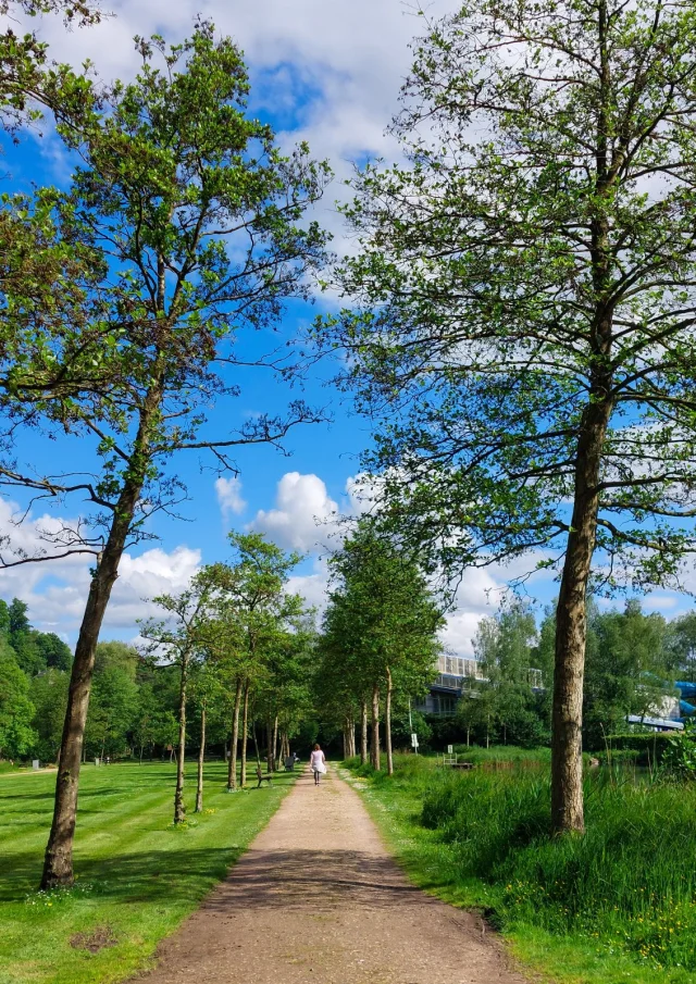 Lillebonne Mai 2024 Parc Des Aulnes Patrimoine Naturel Caux Seine Maritime Promenade Csnt