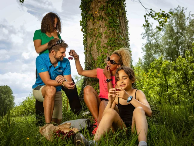 Route Des Fruits Summer 2020 Caux Seine Agglo Normandie Sejour Week End Insolite Famille Drone Press