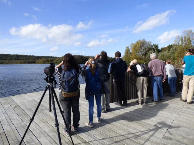 Parc Naturel Regional Boucles Seine Normande Sortie Tourbiere Heurteauvilleasjehanne