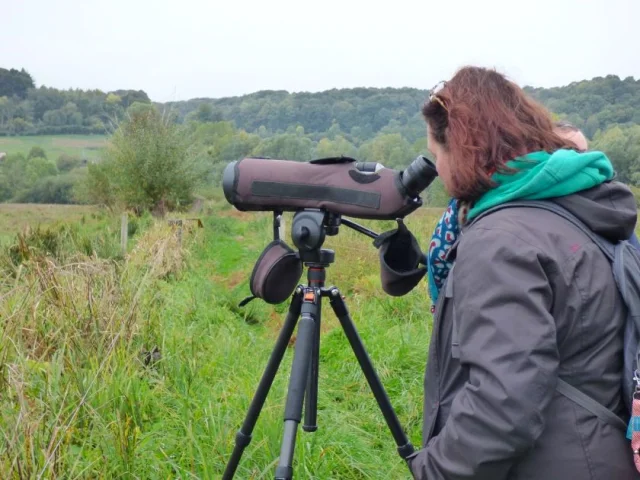 Parc Naturel Regional Des Boucles De La Seine Normande 9 Observateurstsulpiceasjehanne